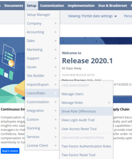 How to run NetSuite Role Comparison - RSM Technology
