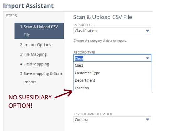 How to Update Subsidiary External IDs in NetSuite - RSM Technology