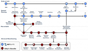 The following diagram identifies where the IQity Bundle contributes to and augments the NetSuite “Demand Planning” and “Plan-to-Build” process groups.