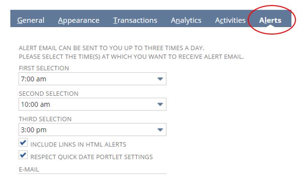 NetSuite Alerts 1