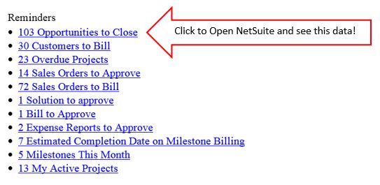 NetSuite Alerts 4