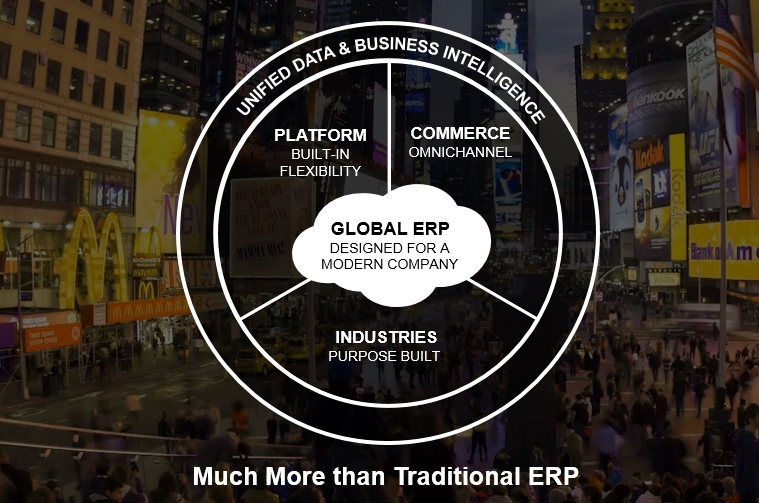 NetSuite ERP Financial Controller