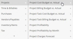 Project Budget Reporting