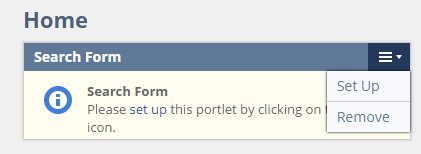 Search Form Home_NetSuite_3