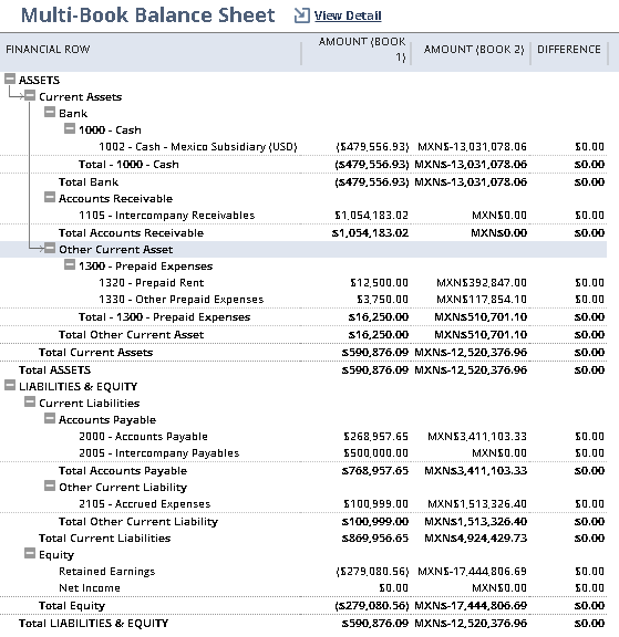 Amazing Netsuite Trial Balance Correct Accounting Equation