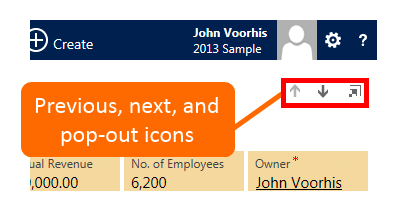 12. Dynamics CRM 2013: Previous record, next record, and pop-out window icons 12. Dynamics CRM 2013: Previous record, next record, and pop-out window icons