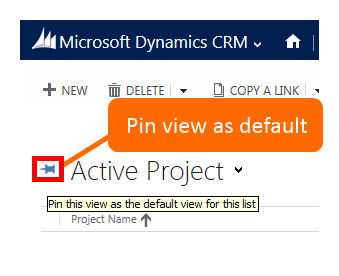 15. Dynamics CRM 2013: Pin view as default 15. Dynamics CRM 2013: Pin view as default