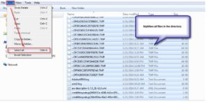 Clearing CRM Common Script Error 4