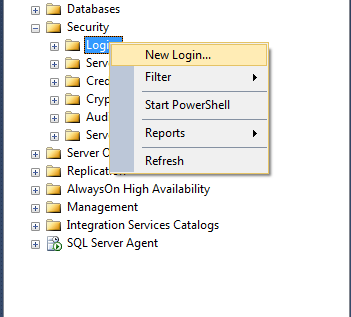 SQL Server Reporting 2