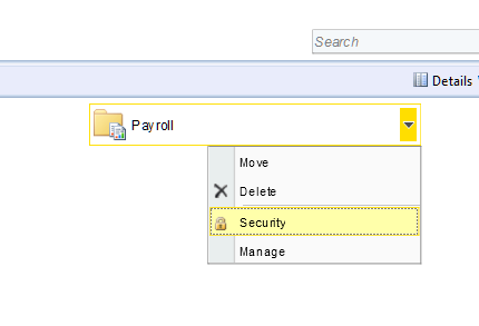 Setting SSRS Security 5